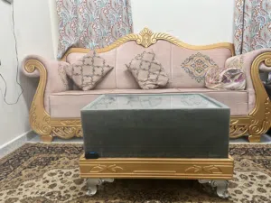 Cushion sofa with Teapoy