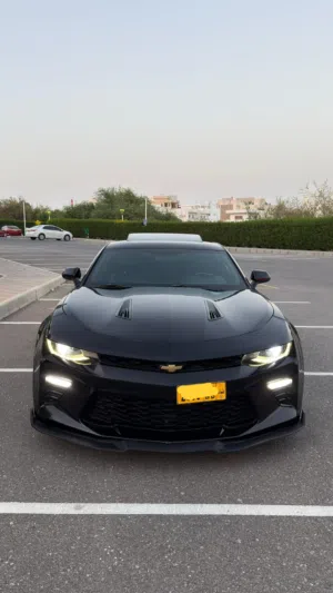 Used Chevrolet Camaro in Muscat