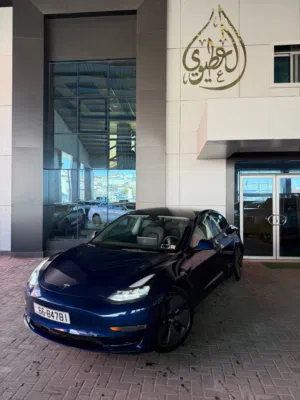TESLA 2023 MODEL 3 2023