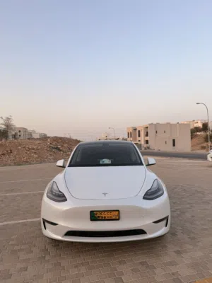 تيسلا واي نظيف جدا