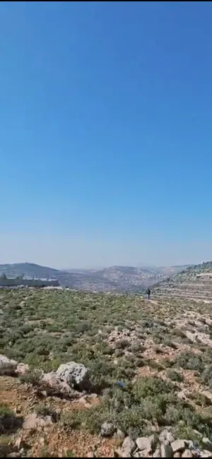 قطعة ارض للبيع في عبوين تصنيف (ب)