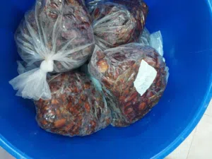 تمر خلاص وابو نارنجه ومدلولكي وجبرين مغسول ومرتب في أكياس نظيف جدا