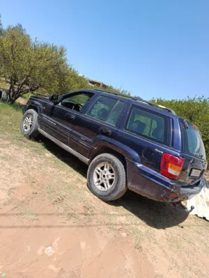 جيب نمر. محرك6 40 كربون موجود مكيف شغال تبي دورا خفيفه