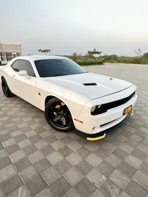Used Dodge Challenger in Al Batinah