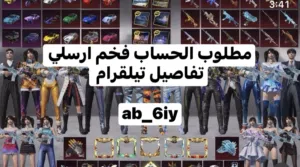 مطلوب حساب فخم ببجي ارسلي تفاصيل تيلقرام ab_6iy