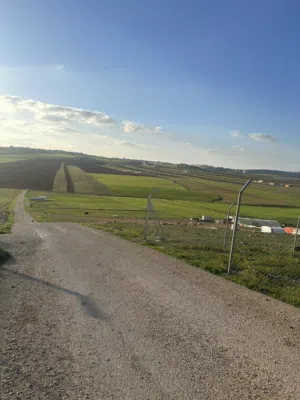 Farm Land for Sale in Madaba Mai'n