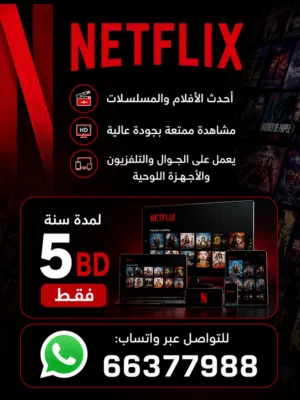 Netflix Accounts and Characters for Sale in Central Governorate