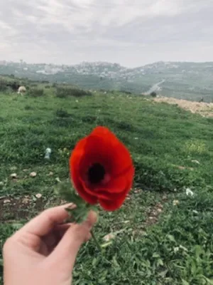 تسنيم مصطفى حسن ابو ترابي 