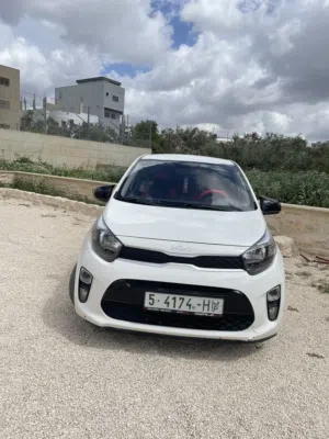 Used Kia Picanto in Salfit