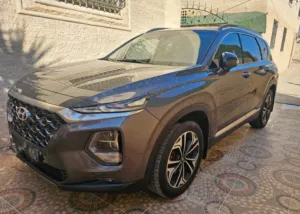 سنتافه. مع. فتخه. ههزبزك. كهوباء دبه. كهوباء. فحص نخب نخب