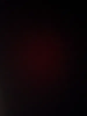 سيدي فيفا 22