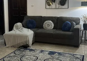Living Room Furniture . Used1