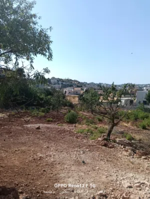ارض سكنيه للبيع في عجلون عبين