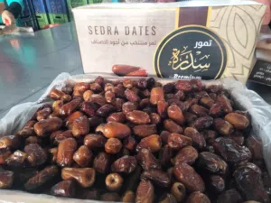 تمورسي ونص جاف خمسات