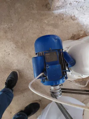 عجنانه شوال ونصف للبيع