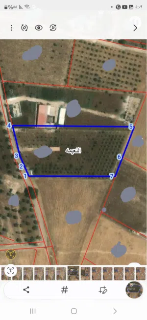 Farm Land for Sale in Irbid An-Nuayyimah