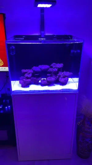 حوض بحريي أجنبي  مع معداته كامله ومواده من ألمانيا من شركه فاونا مارين بالاضافه إلى ملح فاون