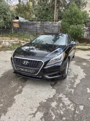 Used Hyundai Sonata in Amman