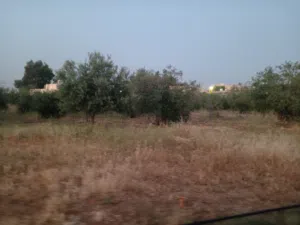 Residential Land for Sale in Salt Al Balqa'