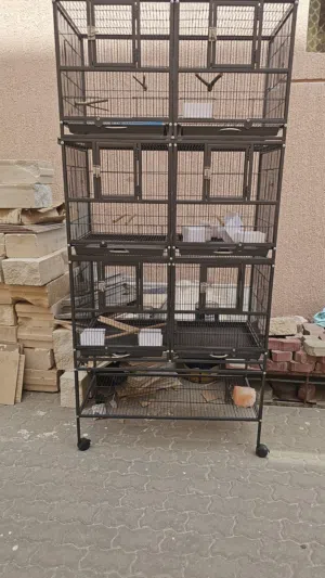قفس ثلاث طوابق على السوم