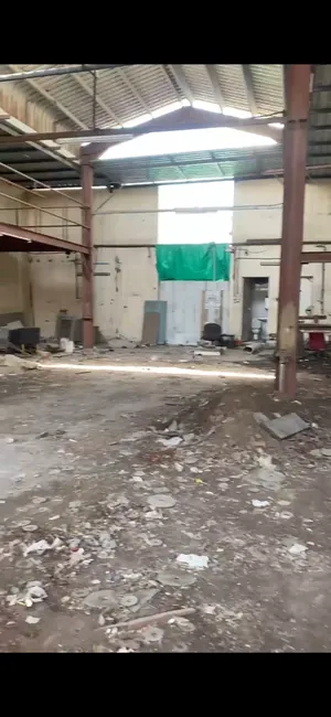 Yearly . 260 m21