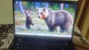 Windows Lenovo  Computers  for sale  in Irbid