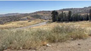 Residential Land for Sale in Amman Daheit Al Rasheed