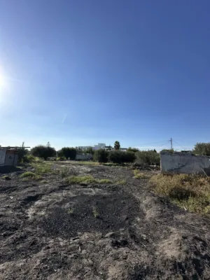 Terrain divisé a vendre a Hammamet