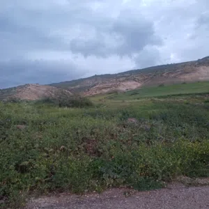 Farm Land for Sale in Irbid North Shuna