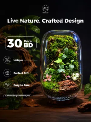 بلوداريوم ، تراريوم - Natural Terrariums & Paludariums