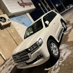 امير مصطفى 