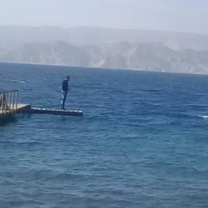محمد محمد
