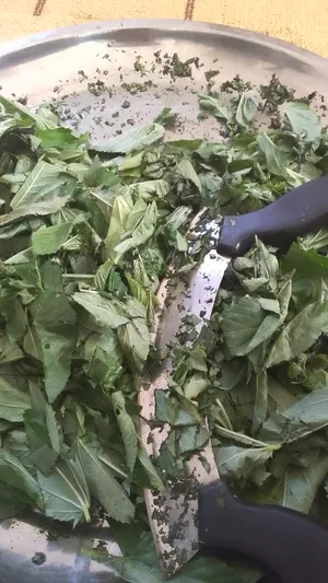 ‏طبخات جاهزة	‏0