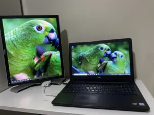 Windows Dell for sale in Amman