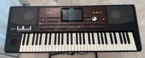 Korg Pa700 Oriental