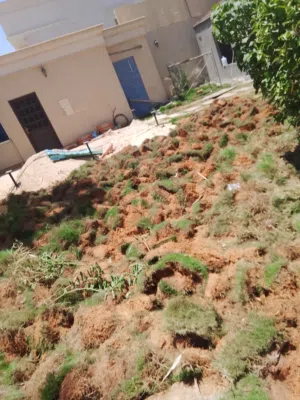 artificial grass and plants maintenance اشجار و ثیل صناعی شغل حدیقہ