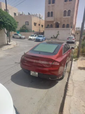 لنكولن مديل 2014
