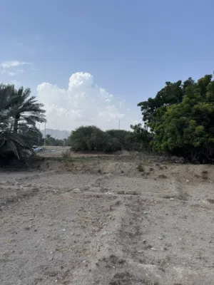 farm-land-for-rent-in-fujairah-corniche-fujairah