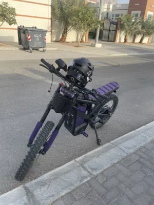 Windhorse y1 (modified )