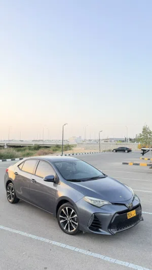 Used Toyota Corolla in Muscat