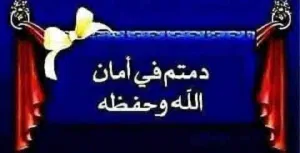 ابحث ع استديو للبيع بالتقسيط يكون ف مكان سكني ومضمون لإمرأة وابنها ساكنةبالاجار يلي عنده يتواصل معاي