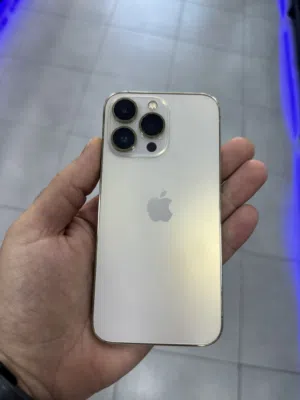 13 pro 256 GB