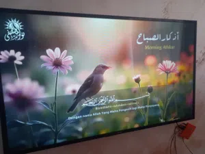 شاشه سامسنج 48بوصه سمارت فل HD فيها خط خفيف جدآ سعرها 110 موقعها جبل النصر