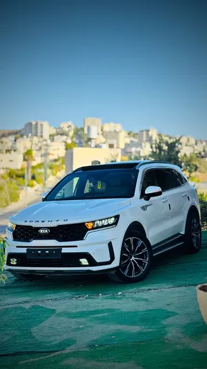 kia-sorento-فئة-رجال-الأعمال-عرض-حرق-حرق-حبة-مميزة-بخواتها-فحص-نخب-نخب-تناول-فوري