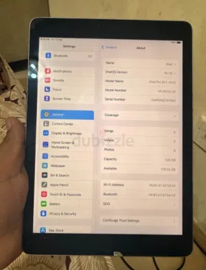ipad pro (9.7_inch)