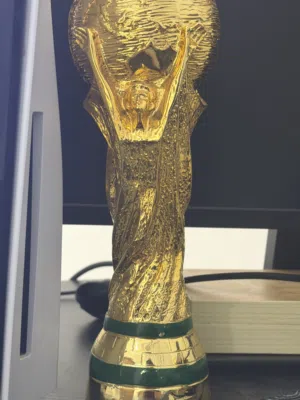 كاس العالم مجسم
