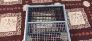 LG  dishwasher