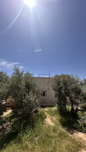 1 Floor . 120 m2 . Landlord4