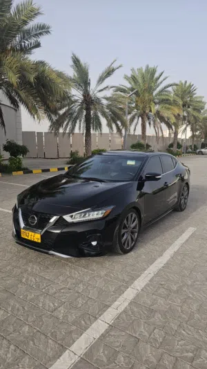 Used Nissan Maxima in Al Batinah