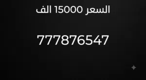 رقم موبايل بسعر مغري يبدا 777 ويحتوي علا خمس سبعات والسعر مغري للجاد في الشراء